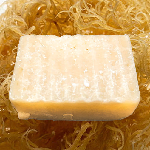 Sea Moss Soap - Alkaline Electrics