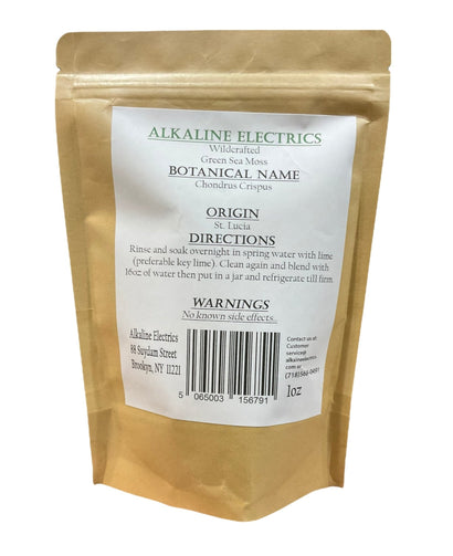 Green Sea Moss - Wildcrafted 1oz - Alkaline Electrics