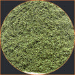 Olive Leaf Powder (Organic) 1oz - Alkaline Electrics