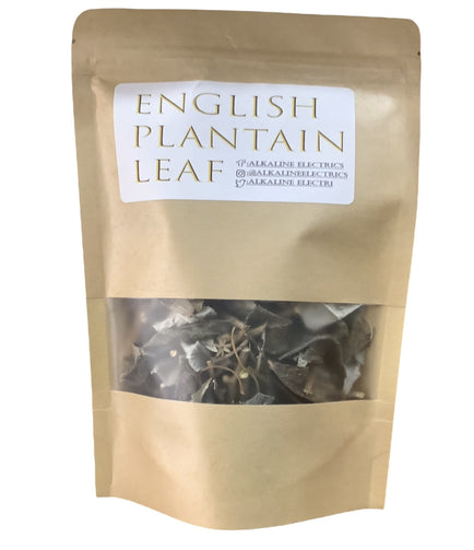 English Plantain Leaf - Wildcrafted 1oz - Alkaline Electrics