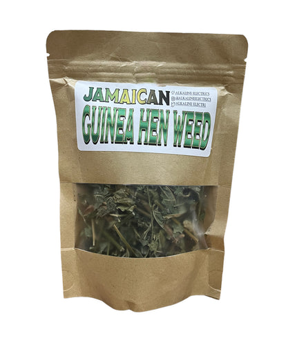 Jamaican Guinea Hen Weed (Wild Crafted) 1 oz - Alkaline Electrics