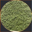 Olive Leaf Powder (Organic) 1oz - Alkaline Electrics