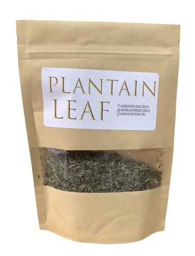 Plantain leaf - Organic 1oz - Alkaline Electrics